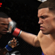 Illustration for article titled EA's UFC Game Adds One Of MMA's Most Notorious Moves